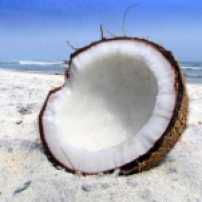 CoconutonBeach